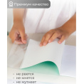 Маленькое фото товара - Обложка для учебников и раб.тетр. УМК"Школа России", 267х415мм, ДПС. Вариант №3